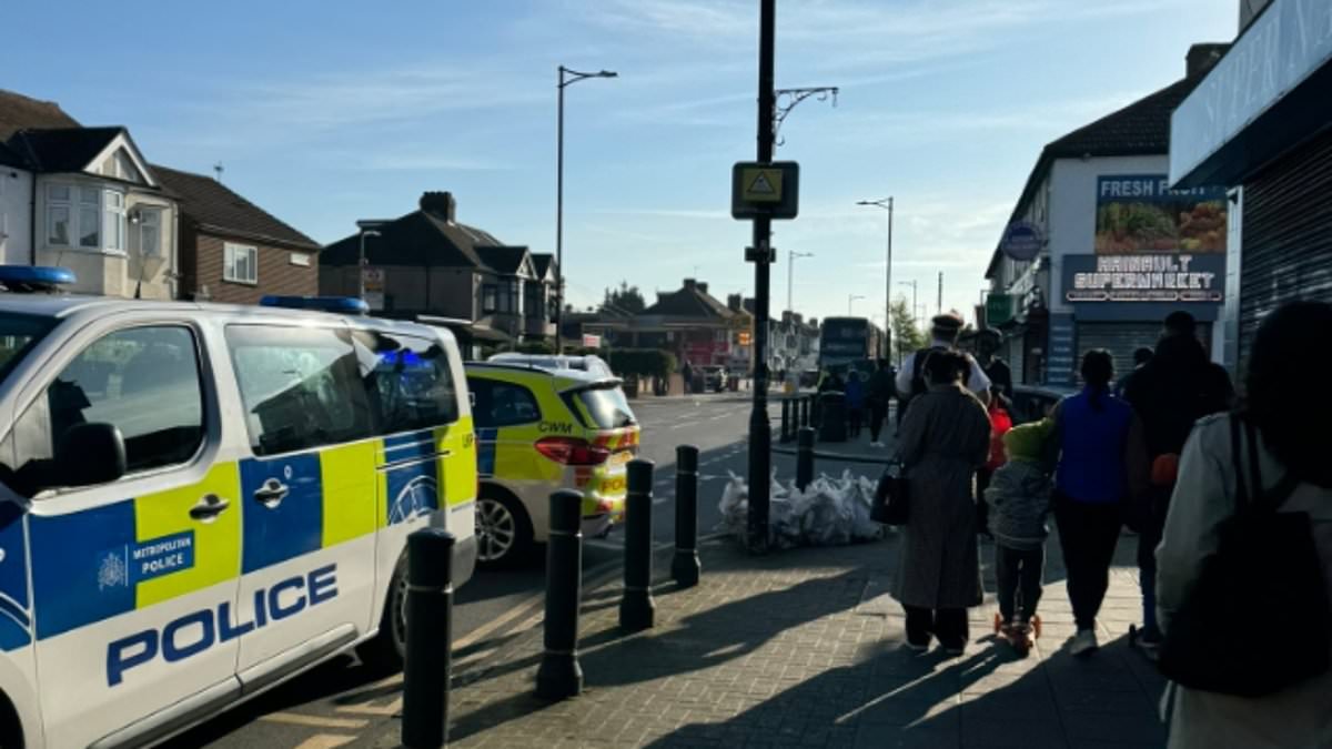 alert-–-hainault-stabbings-live-updates:-boy,-14,-stabbed-to-death-and-police-officers-require-surgery-after-sword-attack-in-east-london