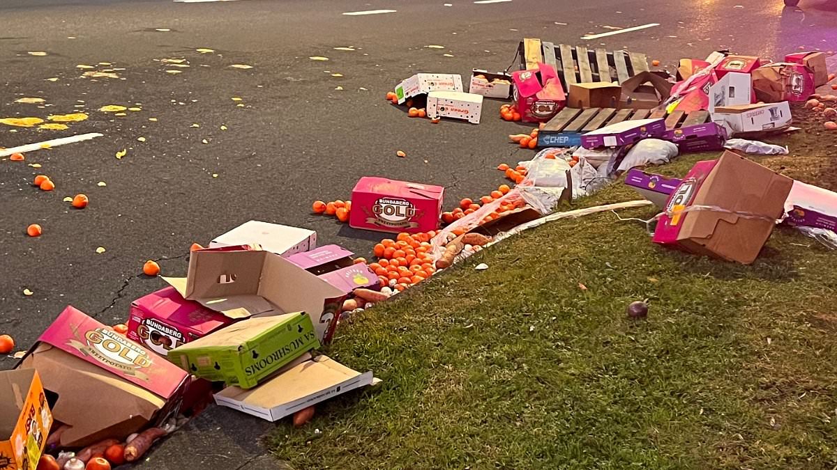 alert-–-fullers-road-in-chatswood:-thousands-of-oranges-block-road