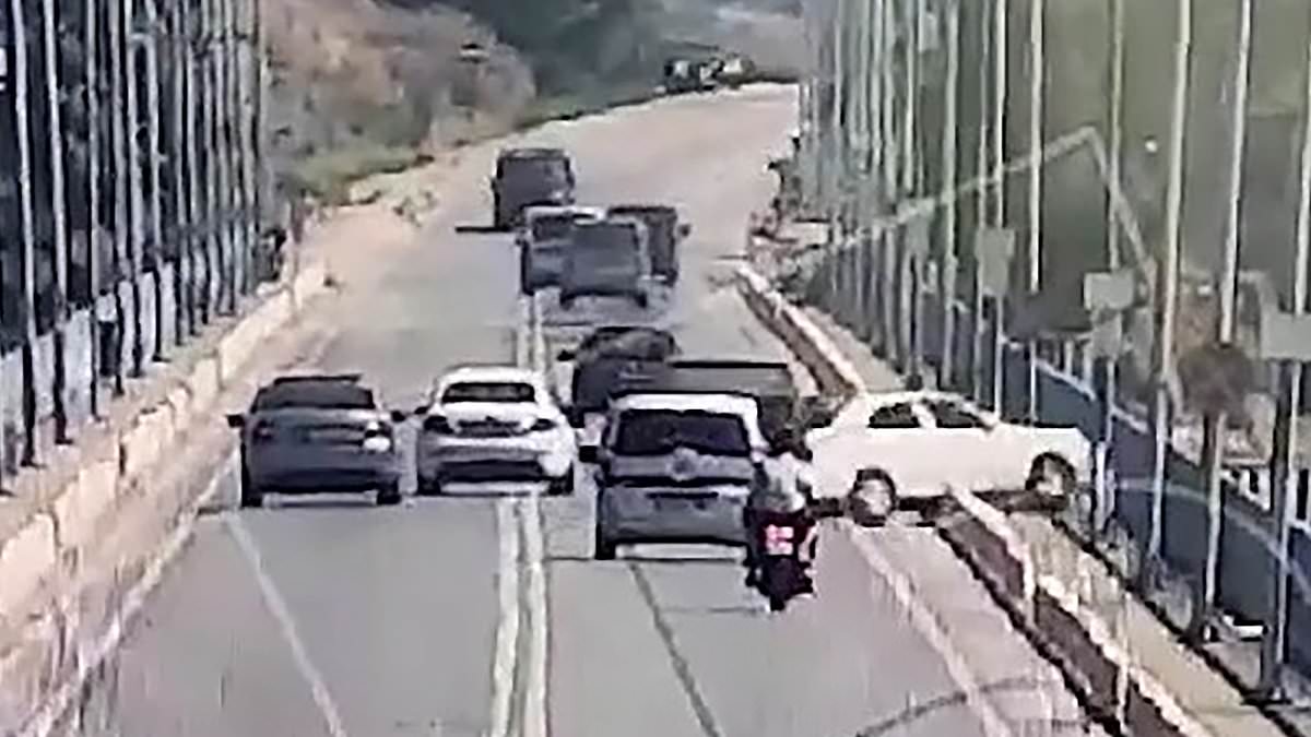 alert-–-horrifying-moment-couple-and-their-teenage-sons-are-killed-when-father-loses-control-of-their-car-while-overtaking-and-plunges-off-the-side-of-a-bridge-into-lake-below