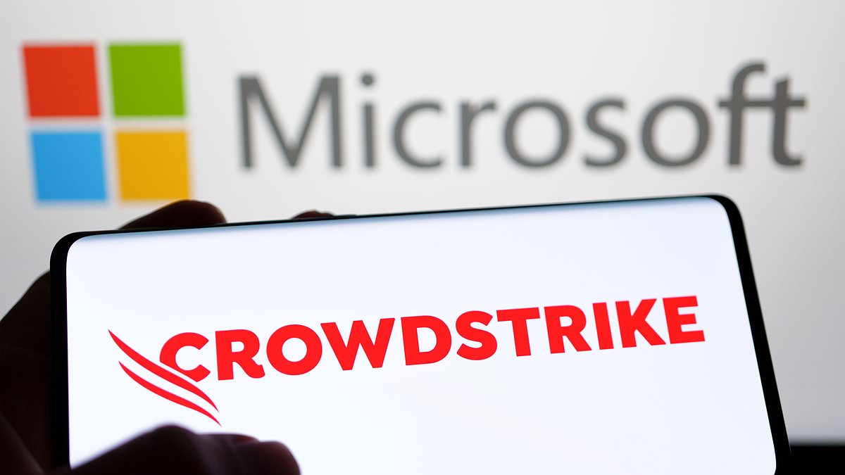 alert-–-did-dei-crash-8.5m-computers?-crowdstrike-probed-for-sidelining-its-white,-male-coders