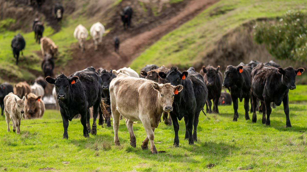 alert-–-alarming-rise-in-aussie-farms-being-sold-to-overseas-buyers-–-amid-warnings-over-national-food-security