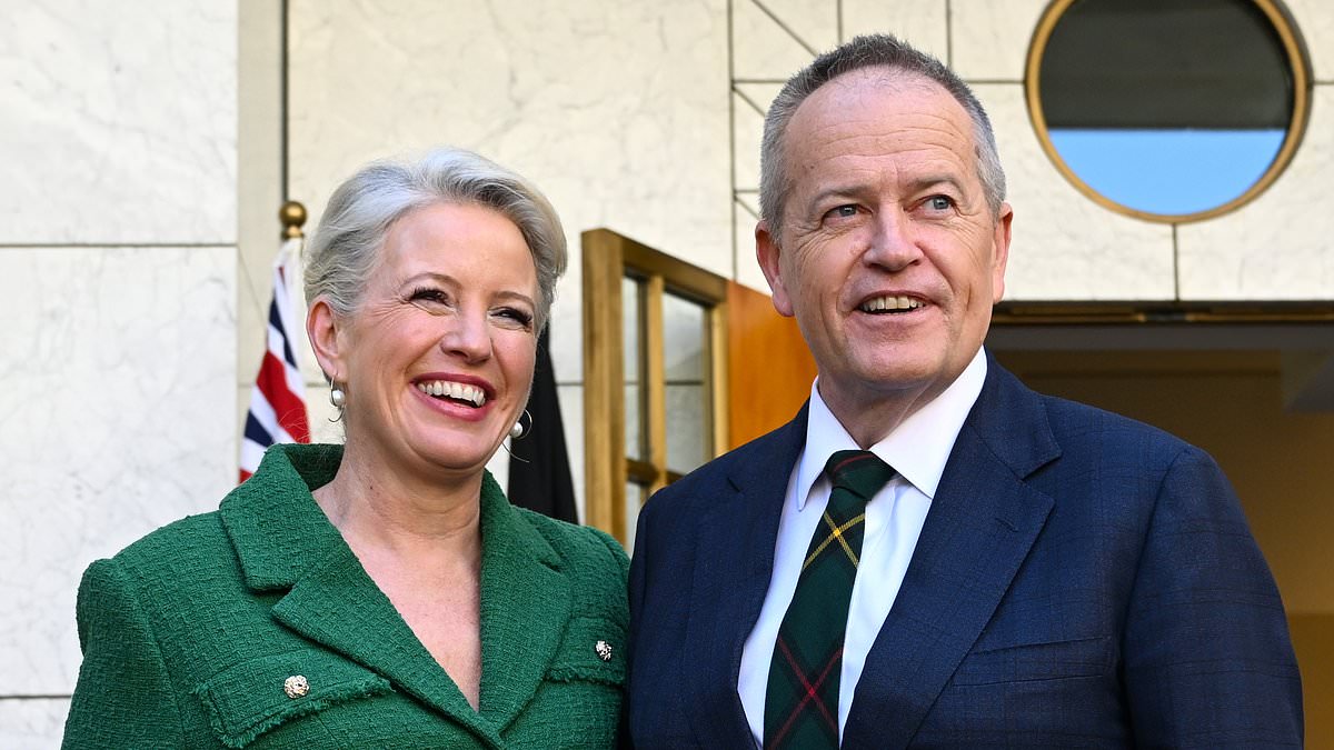 alert-–-the-surprising-reason-bill-shorten-desperately-needs-a-new-job-after-a-lifetime-in-labor-politics-–-as-he-lands-a-bumper-$1m-plus-pay-packet