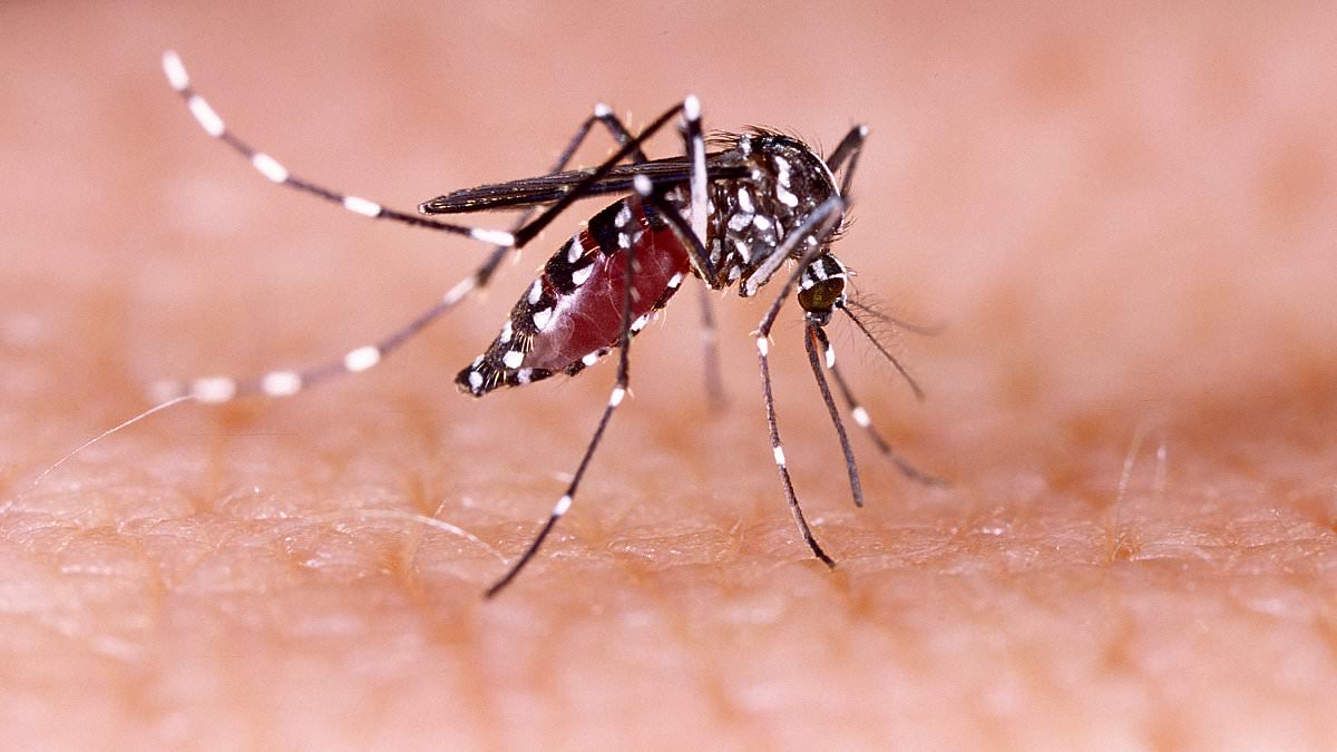 alert-–-officials-in-second-us-state-issue-stay-at-home-orders-because-of-deadly-virus-that-kills-one-in-three-sufferers