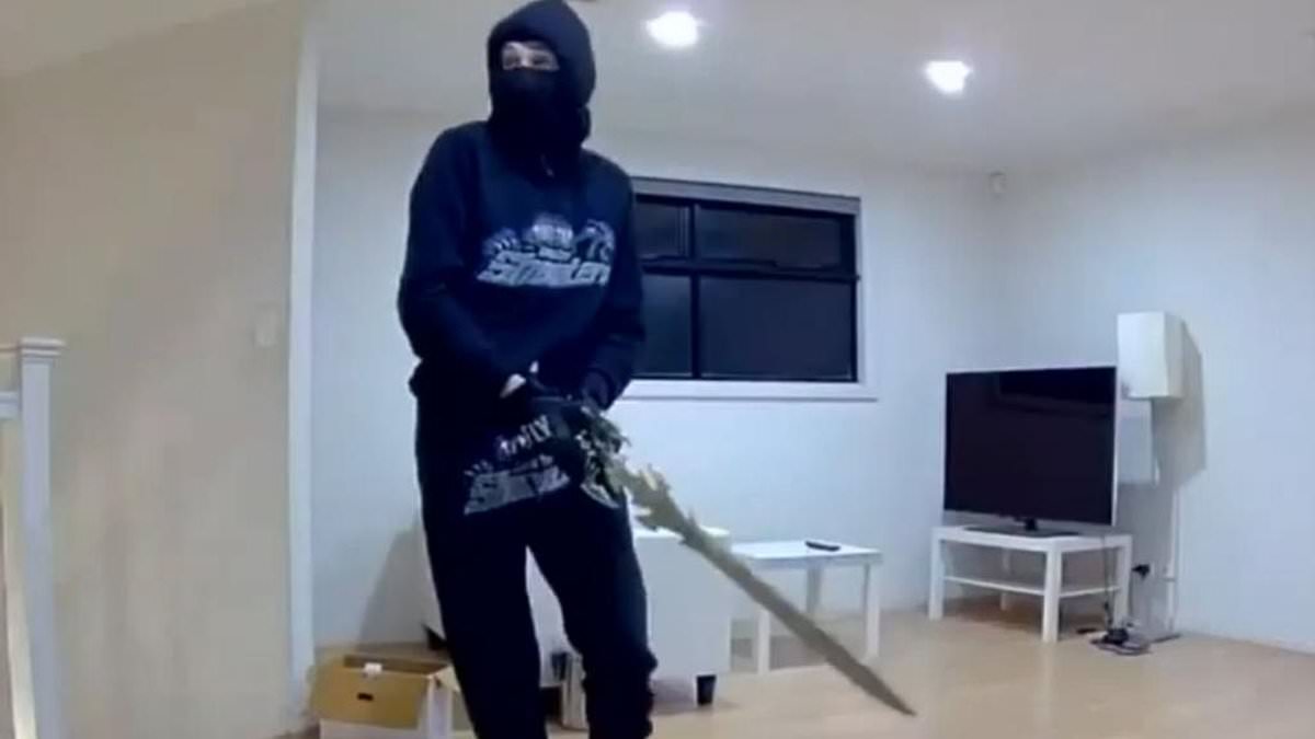 alert-–-chilling-moment-three-masked-thugs-carrying-a-metal-pipe,-baseball-bat-and-a-sword-ransack-suburban-home-in-adelaide-caught-on-camera