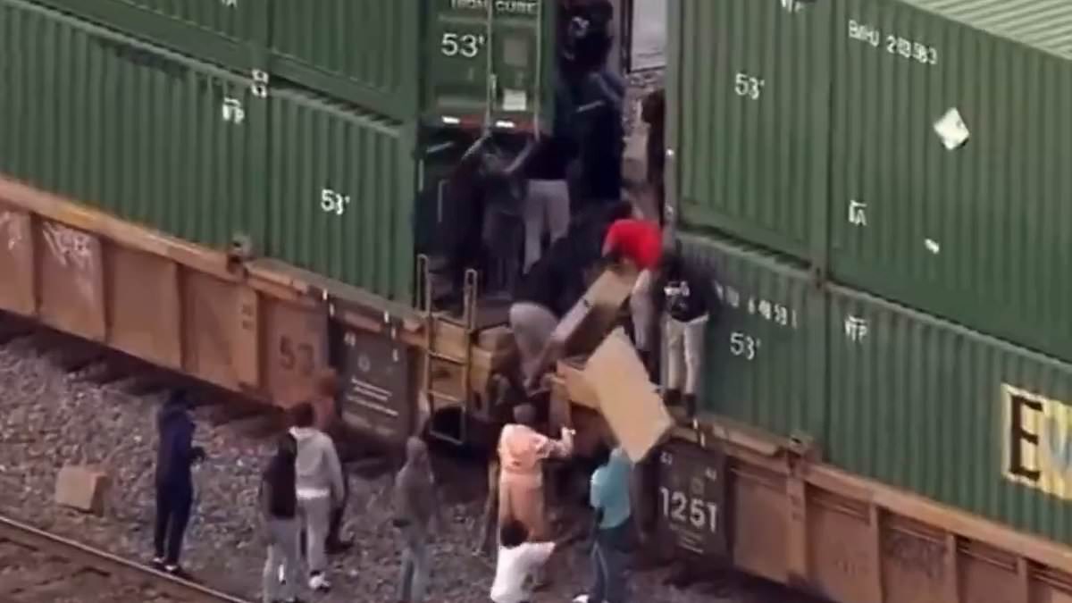 alert-–-wild-footage-shows-at-least-50-thieves-ransacking-freight-train-in-chicago-as-cops-rush-to-the-scene-and-service-is-ground-to-halt