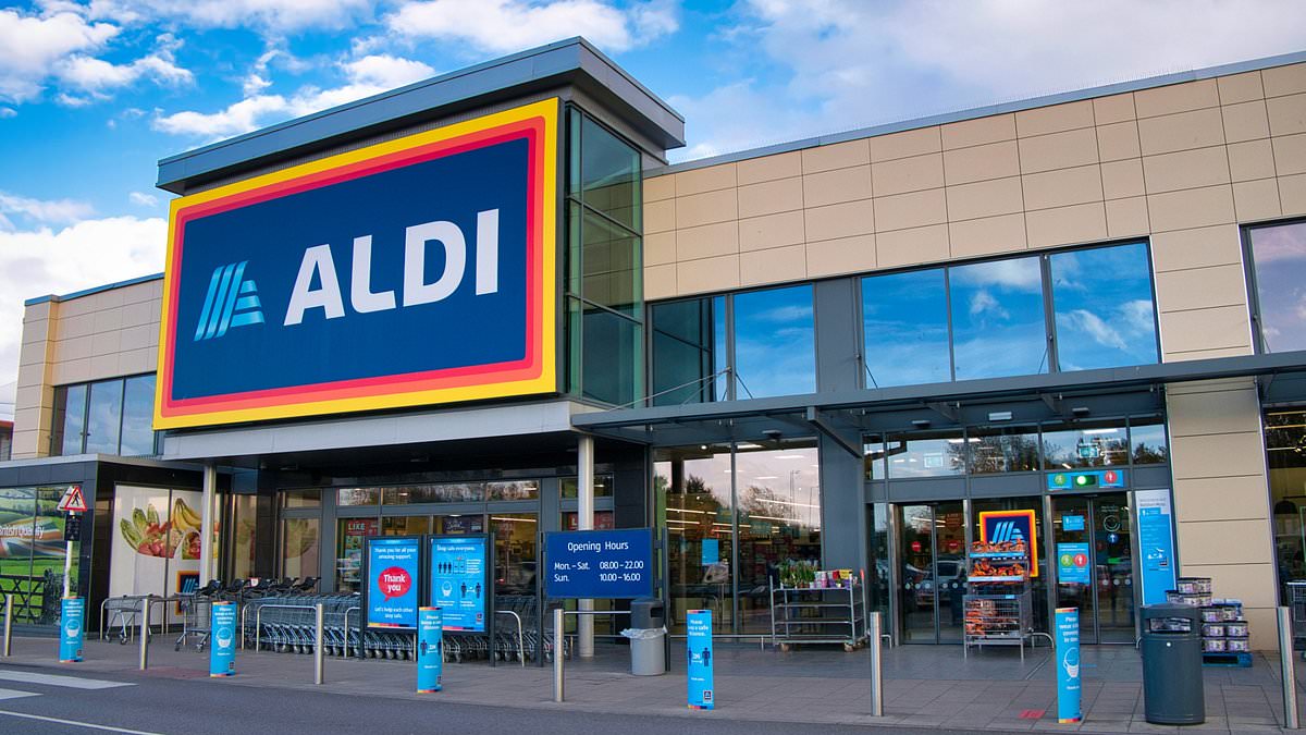 alert-–-i-bought-a-too-good-to-go-mystery-bag-from-aldi…-here’s-why-it-was-definitely-worth-it