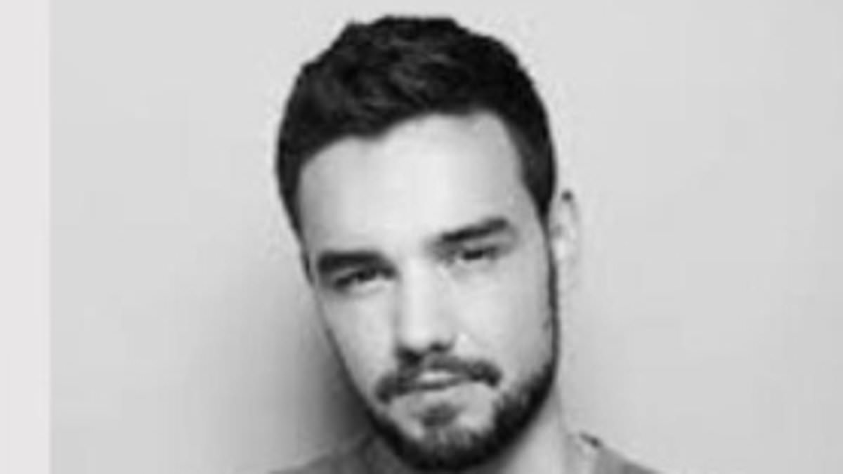 alert-–-liam-payne-fans-to-mass-at-london-park-vigil-to-pay-respects-to-late-one-direction-hero-as-source-close-to-family-speaks-of-torment-he-was-left-in-his-room-on-the-day-he-fell-to-his-death