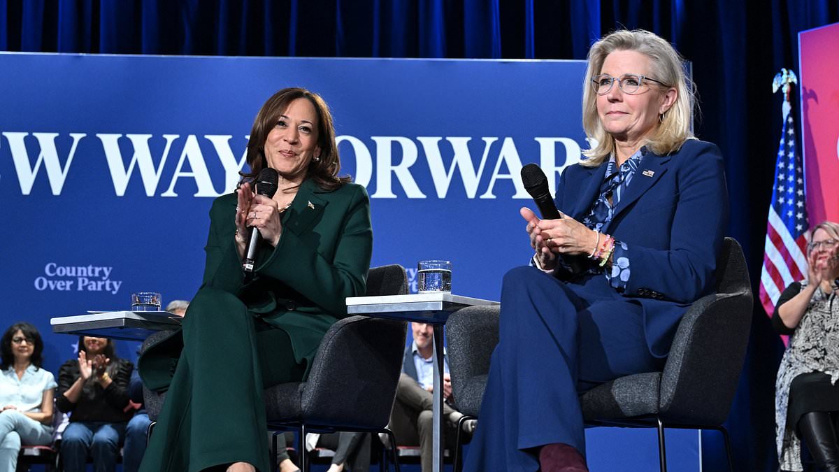 alert-–-liz-cheney-identifies-‘millions’-of-republicans-who-won’t-publicly-admit-they’re-voting-for-kamala-harris