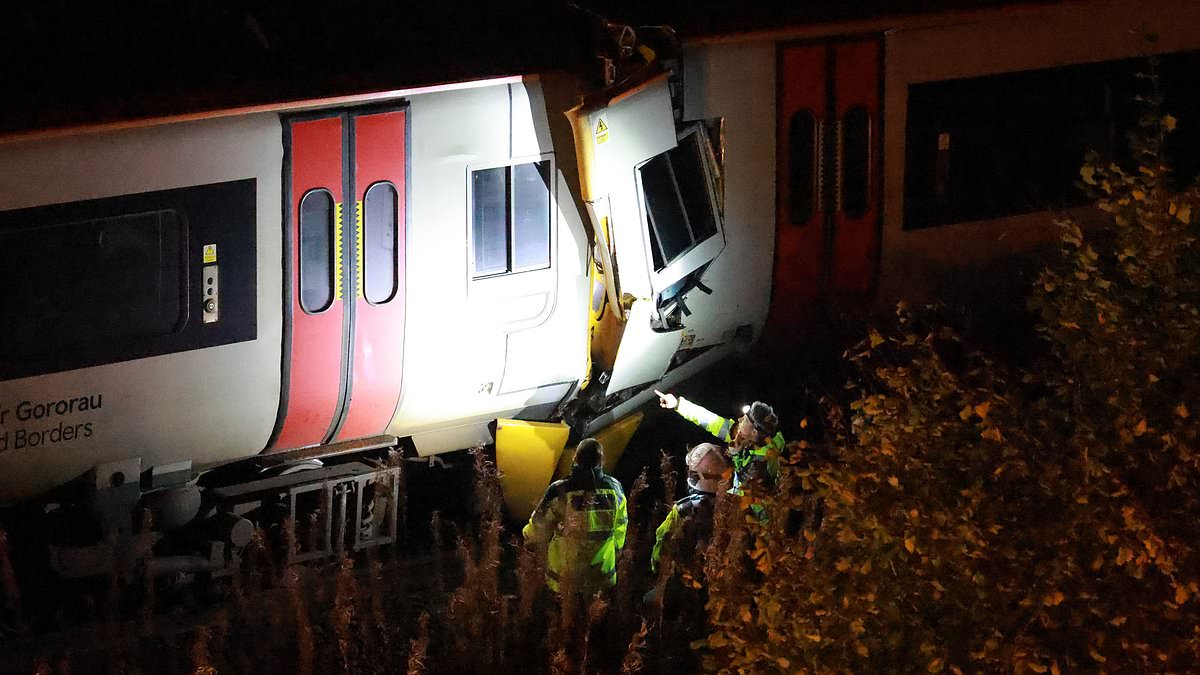 alert-–-locals-heard-‘loud-bangs-and-a-grinding-noise’-before-realising-two-trains-had-collided-in-horror-smash-that-killed-passenger-in-his-60s