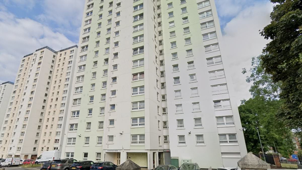 alert-–-newborn-baby-fighting-for-its-life-after-heavily-pregnant-woman,-in-her-30s,-plunges-to-her-death-from-17-storey-tower-block