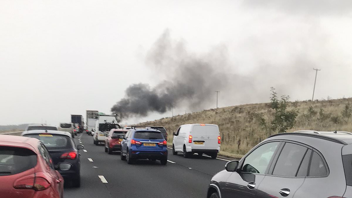 alert-–-skoda-driver,-40,-killed-in-horror-m6-crash-that-also-claimed-the-lives-of-four-members-of-same-family-is-named