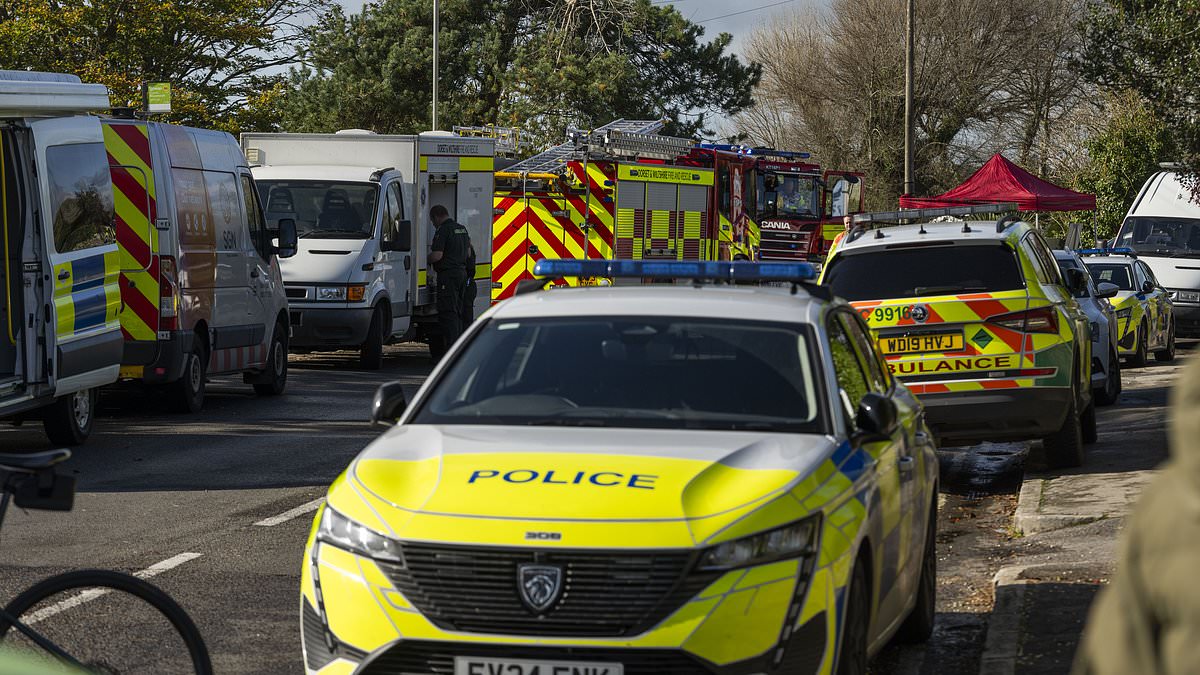 alert-–-tragedy-as-three-people-die-and-four-rushed-to-hospital-after-‘suspected-carbon-monoxide-leak’-at-dorset-care-home-–-as-hazmat-responders-scramble-to-scene