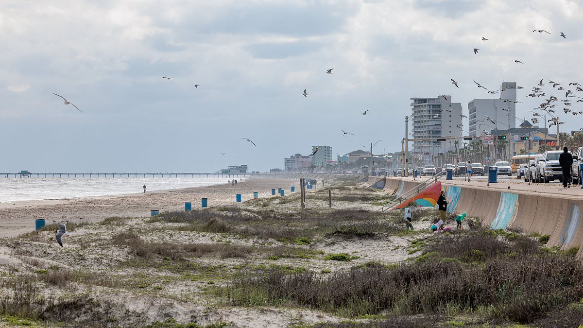 alert-–-baby-girl-dies-after-being-found-abandoned-in-middle-of-road-in-popular-beach-resort