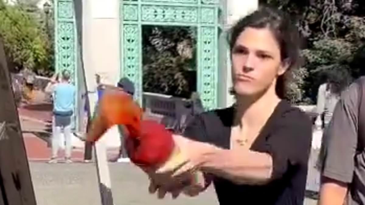 alert-–-moment-activist-hurls-tomato-juice-all-over-conservative-stand-at-uc-berkeley-event