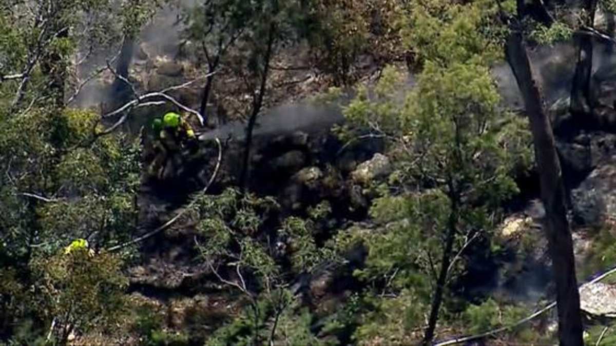 alert-–-two-light-planes-collide-in-horrific-fatal-crash-with-smoke-seen-billowing-into-the-sky