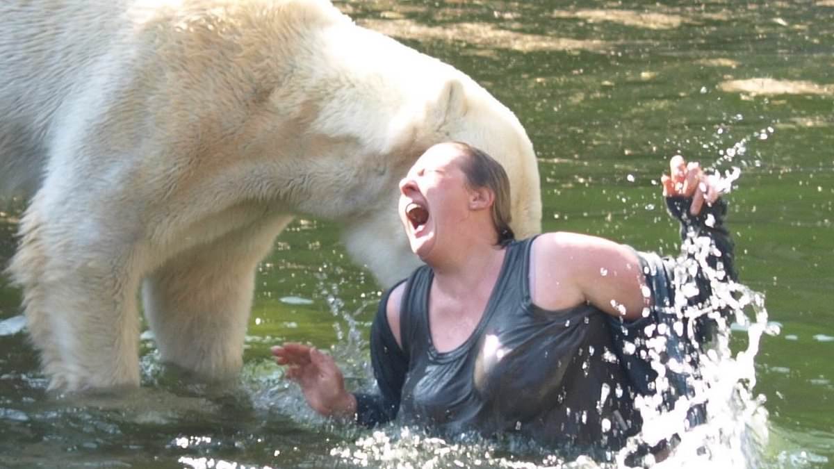 alert-–-moments-from-being-ripped-to-pieces-by-polar-bears…-during-trip-to-the-zoo:-woman’s-miracle-survival-after-jumping-in-‘to-swim’-with-the-deadly-animals,-sparking-desperate-rescue-as-beast-gnawed-on-her