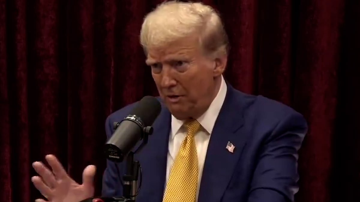 alert-–-donald-trump-tells-joe-rogan-what-he-was-told-about-ufos-when-he-became-president-and-why-‘there-could-be-something-out-there’