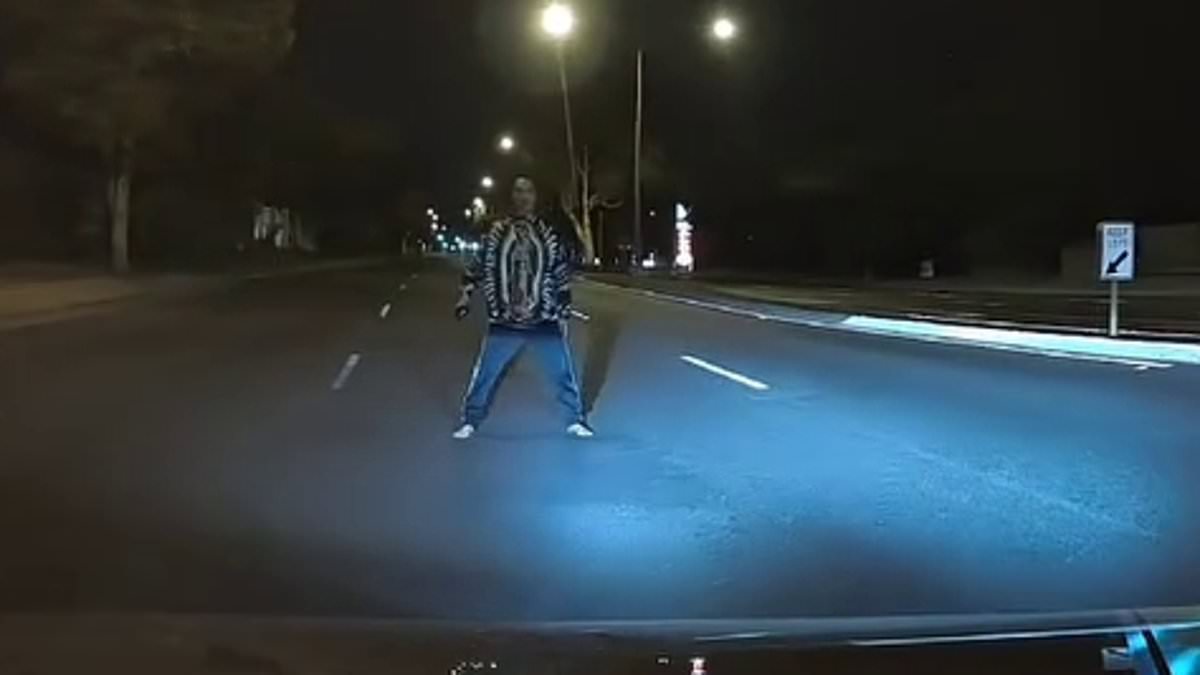 alert-–-sunnybank-hills,-brisbane:-eerie-dashcam-footage-shows-mystery-figure-approaching-moving-car-in-the-middle-of-a-dark-road-–-before-shaken-driver-learns-he-narrowly-avoided-a-grim-fate