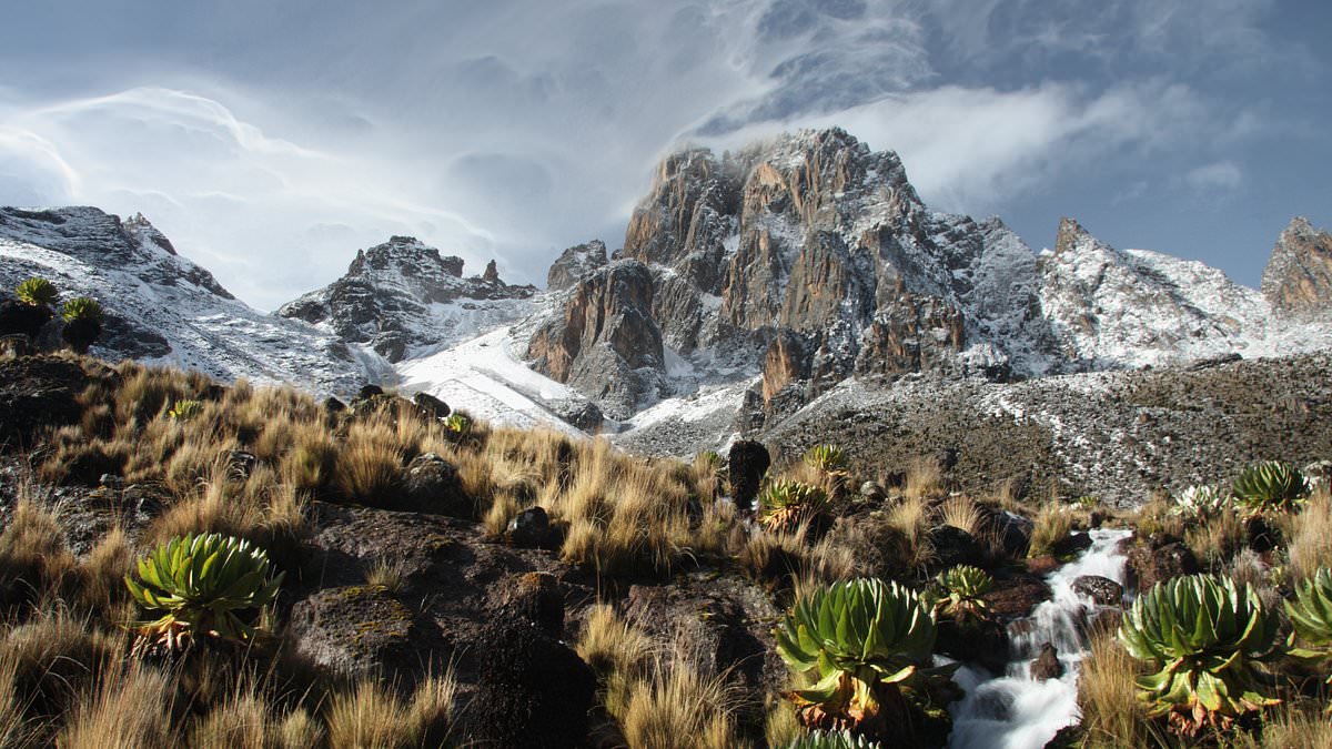 alert-–-british-climber,-60,-falls-to-her-death-–-and-guide-is-dragged-to-his-doom-trying-to-save-her-–-after-slipping-on-ice-while-descending-mount-kenya