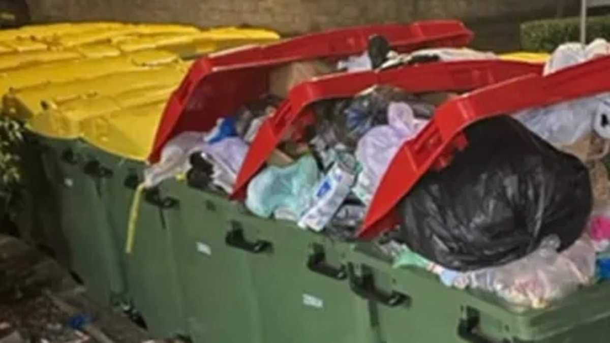 alert-–-new-father-with-twins-blasts-sydney-council-over-‘unhygienic’-change-to-bin-collection-in-the-inner-west