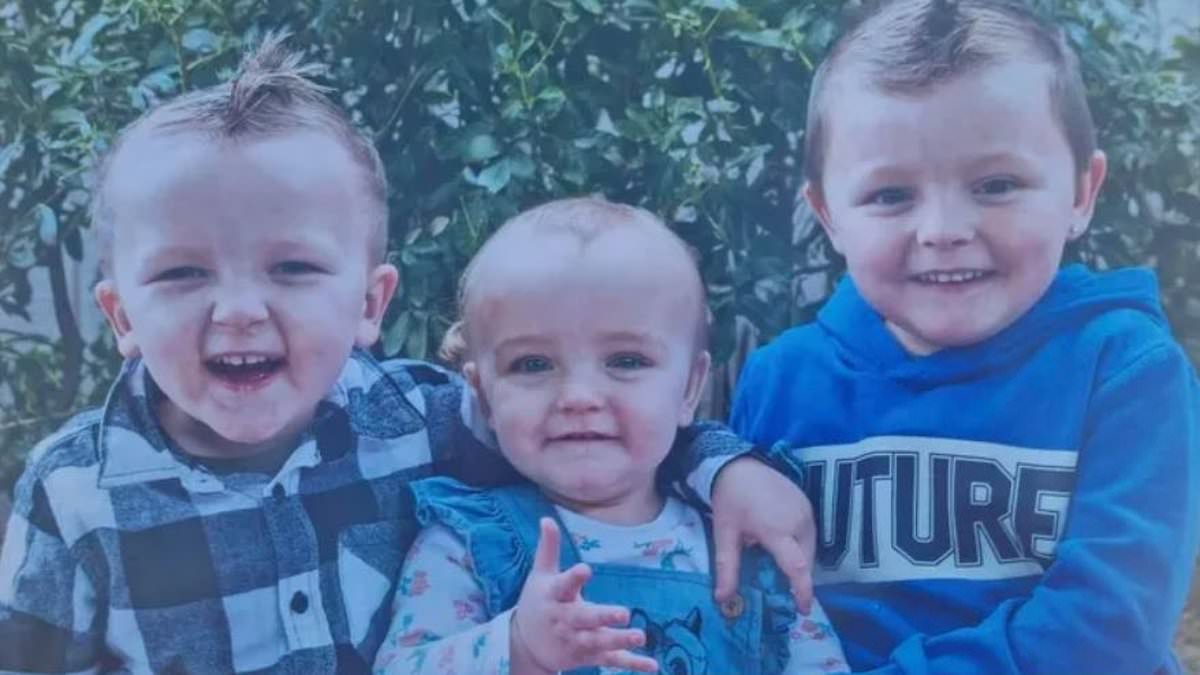 alert-–-corio-garden-shed-fire:-tragedy-as-four-year-old-boy-who-heroically-tried-to-save-his-three-siblings-from-blaze-dies-in-hospital