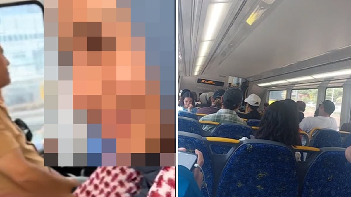 alert-–-twist-as-transport-boss-calls-in-sydney-train-driver-who-played-pro-palestine-song-over-loudspeaker-–-as-the-‘bizarre’-stunt-is-slammed