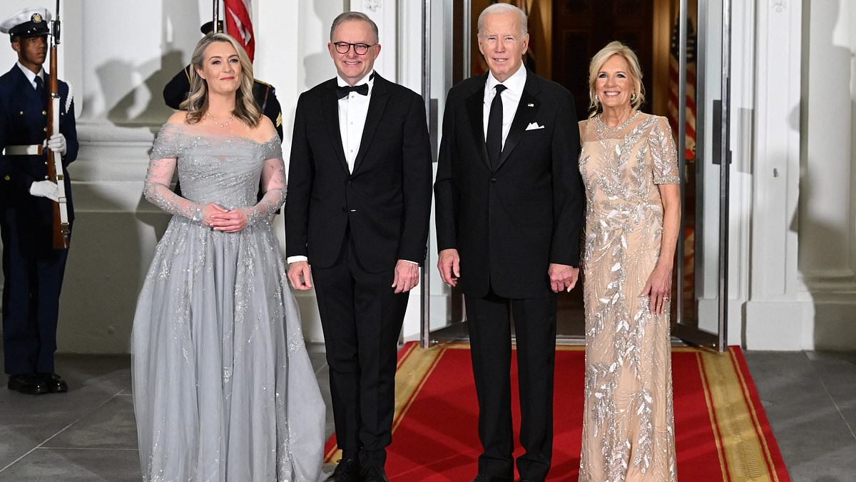 alert-–-the-bidens-welcome-australia’s-anthony-albanese-and-partner-jodie-haydon-to-a-subdued-white-house-state-dinner-that’s-a-family-affair-with-their-grandchildren-–-but-no-hunter
