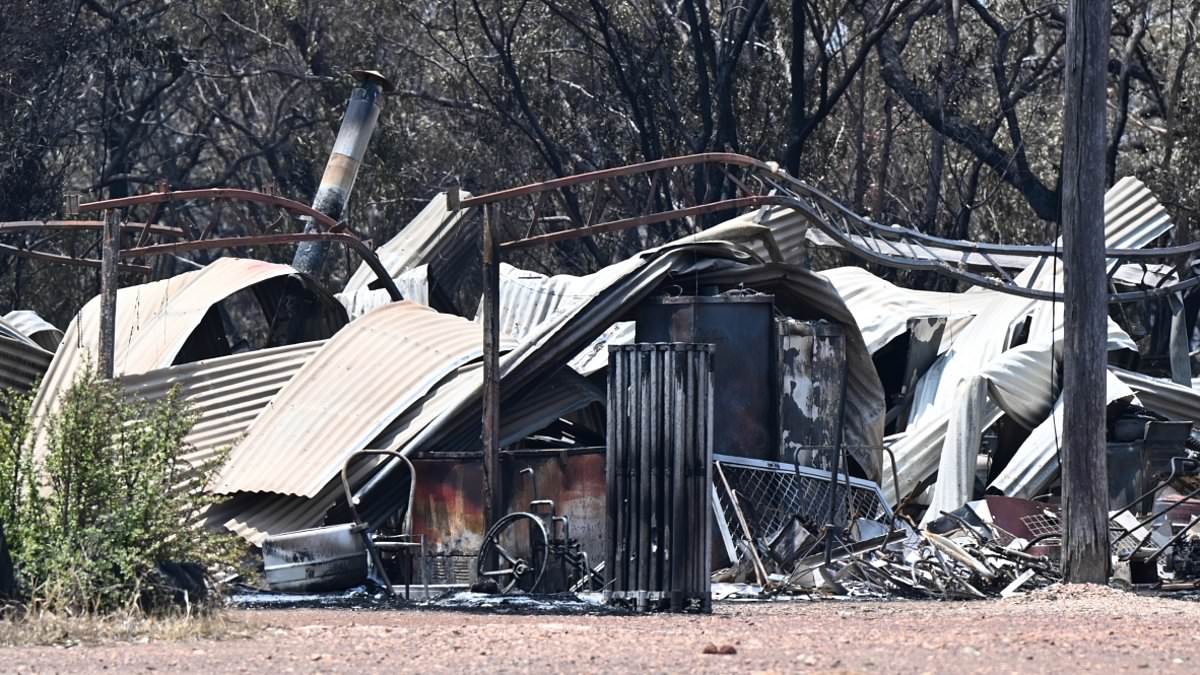 alert-–-western-downs-bushfires:-second-person-dies-in-deadly-queensland-blaze-that-has-claimed-16-homes-and-burned-through-11,000-hectares-around-tara