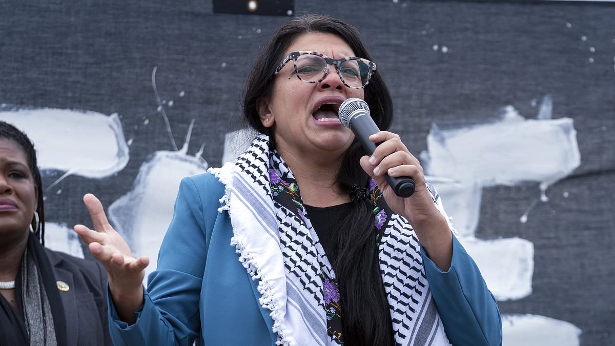 alert-–-nine-democrats-including-rashida-tlaib-and-one-republican-vote-against-resolution-condemning-hamas-and-backing-israel-for-the-terrorist-attacks