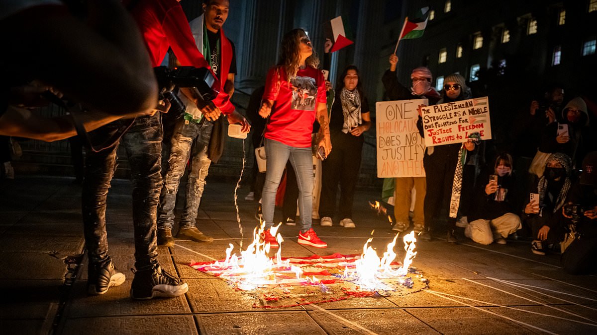 alert-–-the-protests-that-shame-nyc:-anti-israel-activist-burn-stars-and-stripes-outside-city-hall-in-nyc-–-after-demonstrators-marched-from-wall-street-and-accused-biden-of-‘genocide’-for-supporting-jewish-state-after-hamas-terror-attack