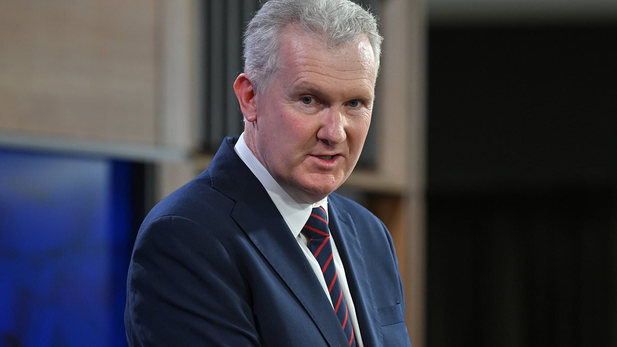alert-–-more-cracks-appear-in-government’s-steadfast-support-of-israel-as-frontbencher-tony-burke-backs-council-who-flew-palestine-flag-outside-its-office