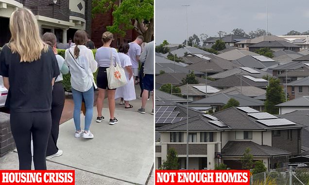 alert-–-why-anthony-albanese’s-immigration-policies-are-worsening-the-housing-crisis