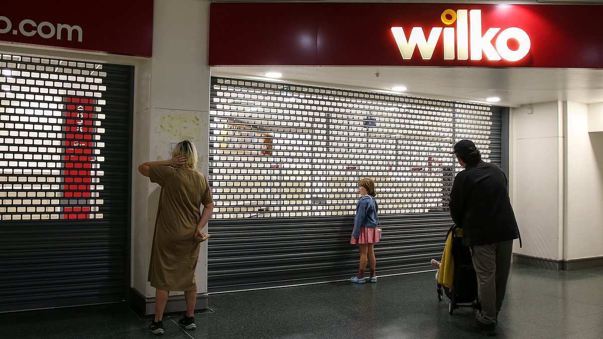 alert-–-wilko-was-‘saved-from-the-scrapheap-because-shoppers-love-the-brand-–-but-it-will-have-its-work-cut-out-competing-with-other-discount-retailers’,-expert-warns-as-chain-returns-to-high-street…-is-a-store-opening-near-you?