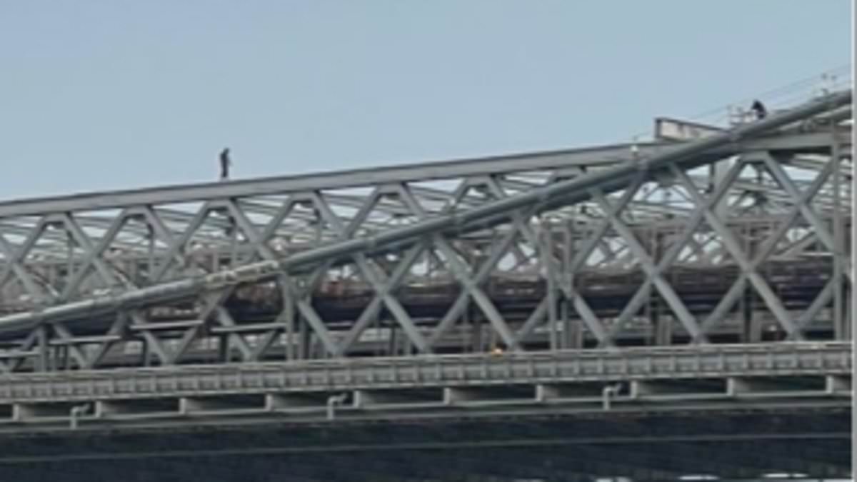 alert-–-nyc’s-williamsburg-bridge-is-closed-as-person-is-seen-climbing-along-the-top-of-it-–-a-month-after-nypd-were-seen-in-horrifying-footage-rescuing-distraught-man-threatening-to-jump