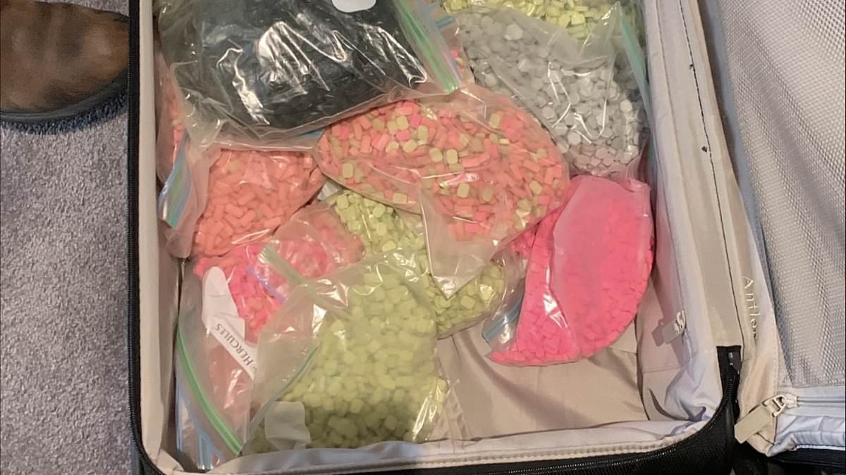 alert-–-two-men-charged-after-120kg-of-drugs-stashed-in-suitcases-seized-from-inner-city-house