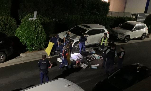 alert-–-homebush-west:-black-mitsubishi-sought-by-police-after-man-dies-in-suspected-hit-and-run-where-he-was-dragged-under-a-car-for-several-metres