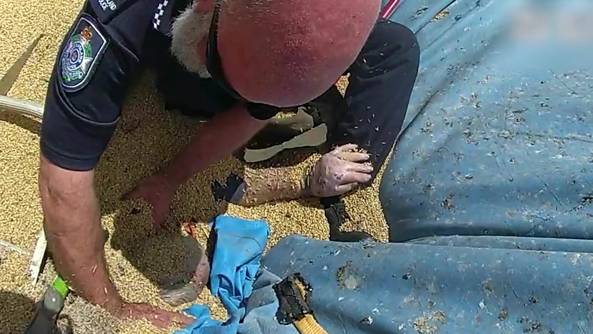 alert-–-dramatic-video-released-of-moment-cops-rescued-a-baralaba-farmer-who-was-suffocating-after-falling-into-his-grain-silo-–-as-they’re-honoured-for-their-quick-thinking-bravery