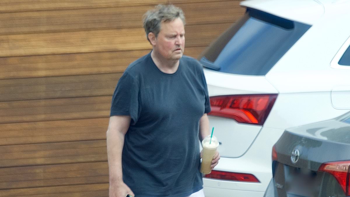 alert-–-over-a-dozen-life-saving-operations,-15-trips-to-rehab-and-6,000-visits-to-aa:-how-matthew-perry-spent-$9million-on-battle-with-drink-and-drugs-addiction-–-and-at-one-point-was-told-by-doctors-he-had-just-a-2%-chance-of-surviving