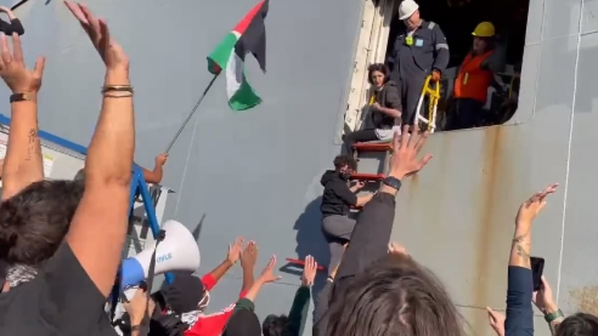 alert-–-pro-palestine-protestors-clash-with-cops-in-oakland-as-they-attempt-to-block-us-ship-‘sending-military-weapons-to-israel’