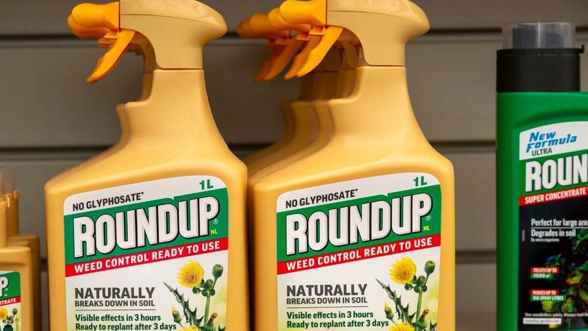 alert-–-california-man,-57,-is-awarded-$332-million-after-claiming-monsanto-roundup-weedkiller-gave-him-rare-cancer-–-in-latest-blow-to-chemical-giant-hit-by-thousands-of-lawsuits