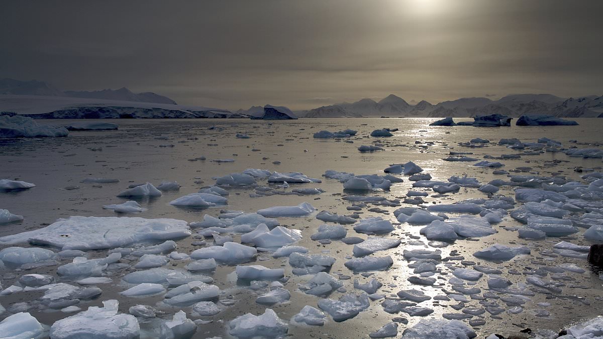 alert-–-investigators-head-to-remote-mcmurdo-station-in-antarctica-to-probe-sexual-assault-and-harassment-claims-made-by-women-who-said-they’re-being-put-in-danger-–-with-one-saying-she-is-forced-to-carry-around-a-hammer-for-her-own-safety