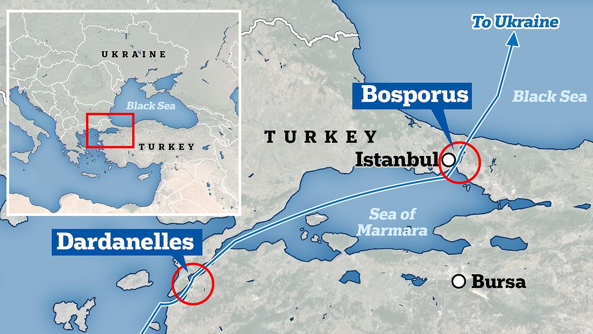 alert-–-turkey-blocks-two-british-royal-navy-minehunters-intended-for-ukraine-from-entering-its-waters