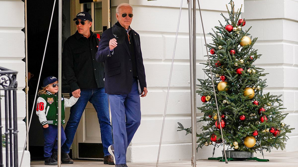 alert-–-republican-impeachment-inquiry-into-joe-and-hunter’s-business-ties-enters-second-year-as-white-house-maintains-there-is-‘no-evidence’:-trusted-biden-associate-michael-lewitt-who-has-been-sued-by-the-sec-for-fraud-is-called-up-to-testify