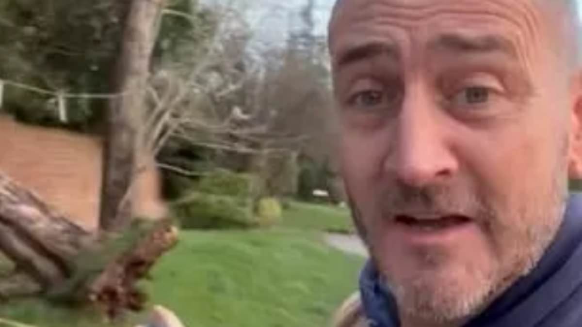 alert-–-will-mellor-shares-his-fury-at-his-local-council-after-a-tree-crashed-into-his-garden-during-storm-henk:-‘it-could’ve-killed-someone!’