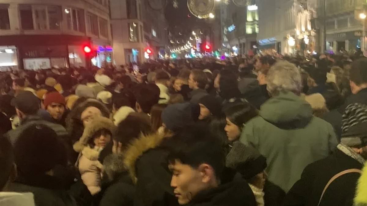 alert-–-city-hall-blames-‘fake-tickets’-for-london-new-year-fireworks-chaos-after-revellers-complained-about-huge-queues,-bad-signage-and-being-denied-entry-to-official-viewing-areas