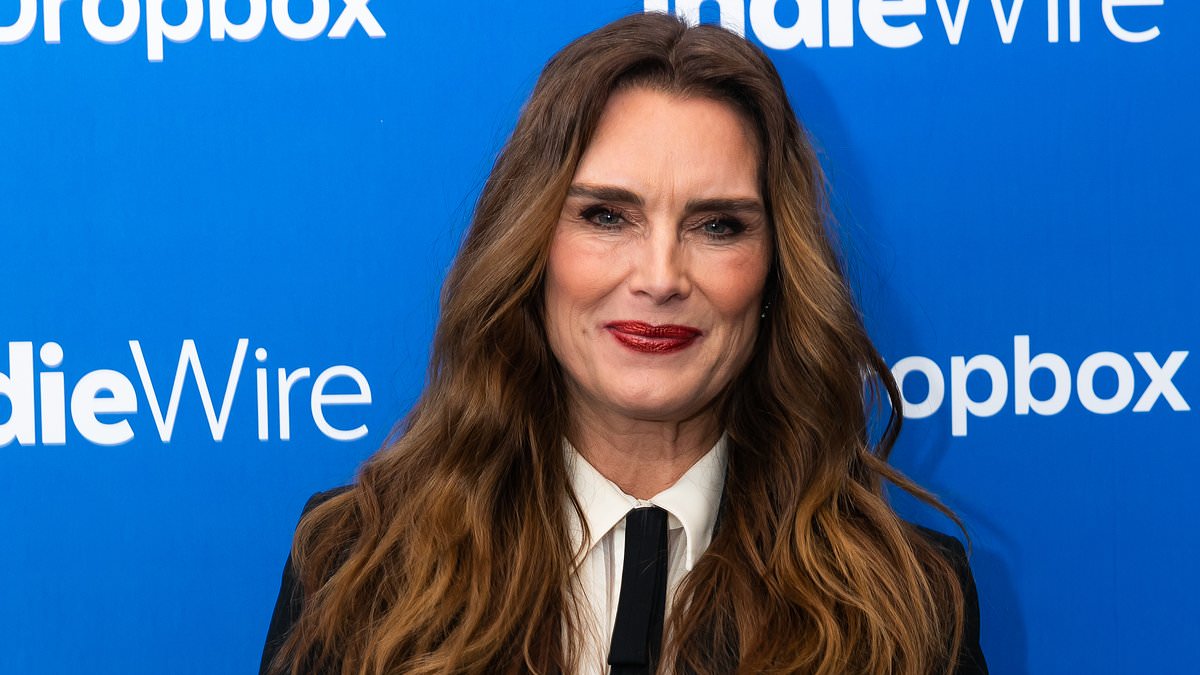 alert-–-brooke-shields,-58,-admits-she-has-some-gray-hairs-in-her-eyebrows-but-refuses-to-tint-them-again-as-it-makes-her-‘look-crazy’