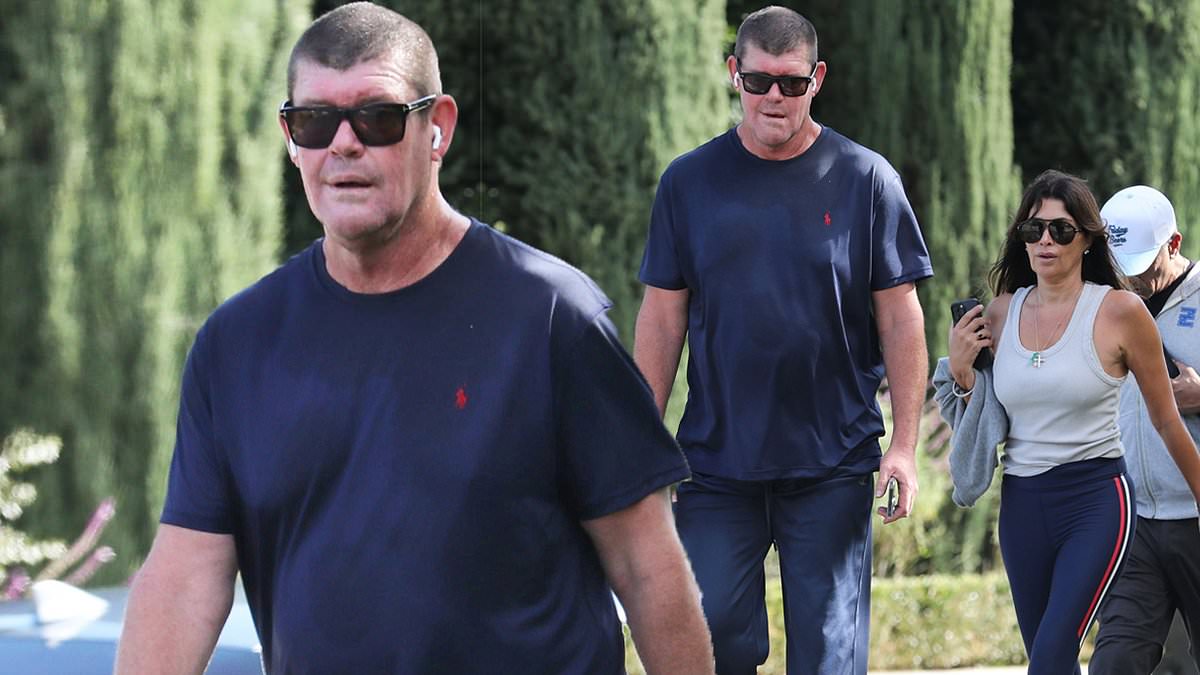 alert-–-billionaire-james-packer-shows-off-his-slimmed-down-figure-after-33kg-weight-loss-as-he-goes-for-a-walk-with-his-ex-wife-jodhi-meares-in-la-after-spending-christmas-together