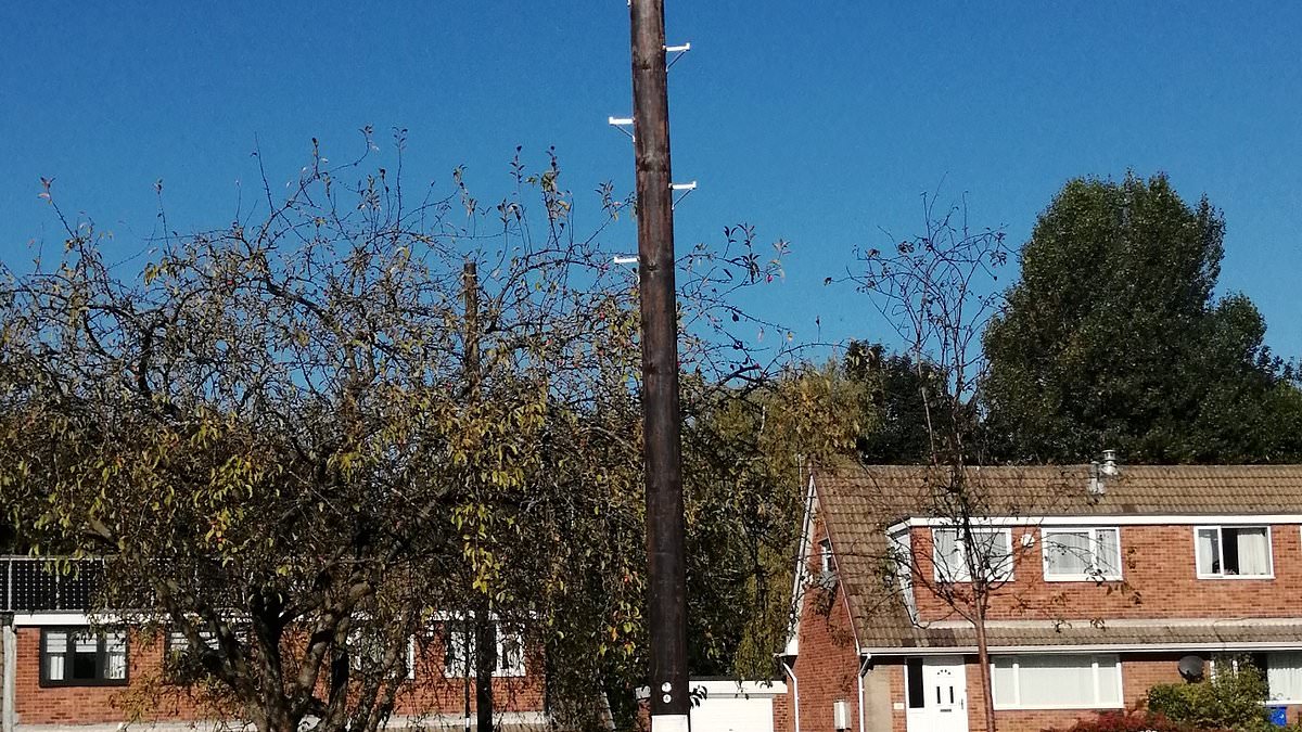 alert-–-‘broadband-poles-have-spoiled-our-community’:-pensioner-slams-bt-after-‘eyesores’-were-put-up-outside-his-cul-de-sac-home