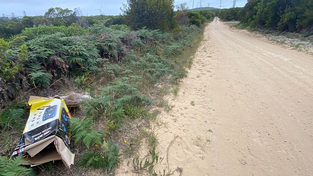 alert-–-portland,-victoria:-rotting-koala-corpses-are-found-dumped-in-cardboard-boxes-at-the-side-of-a-road