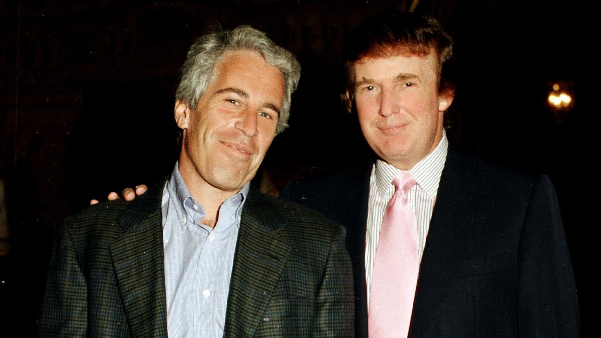 alert-–-donald-trump-visited-jeffrey-epstein’s-palm-beach-home-for-meals-but-ate-them-with-housekeeper-in-pedophile’s-kitchen-–-and-never-received-massages,-latest-court-papers-claim